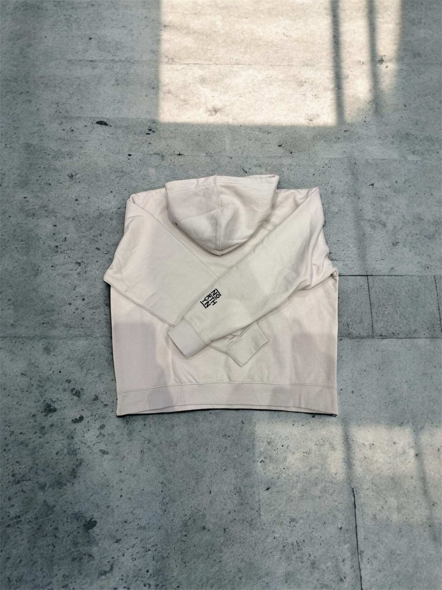 NORTHYN Embroidered Oversized Premium Hoodie