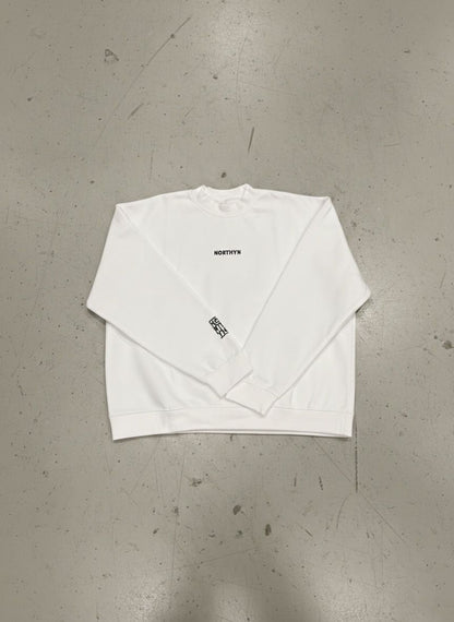 NORTHYN Embroidered Oversized Premium Sweatshirt